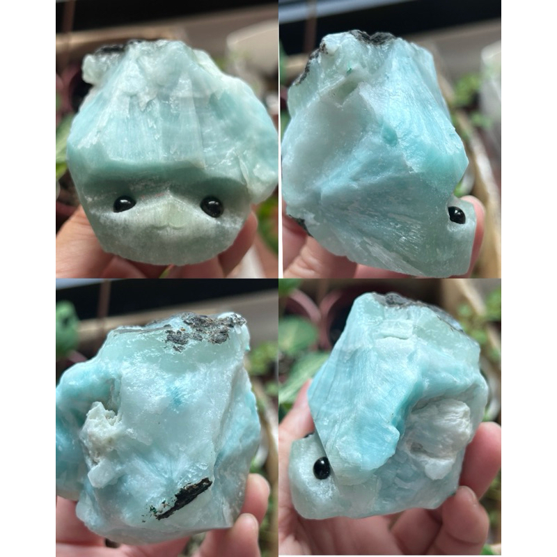 刺刺的價格推薦- 2025年11月| 比價比個夠BigGo