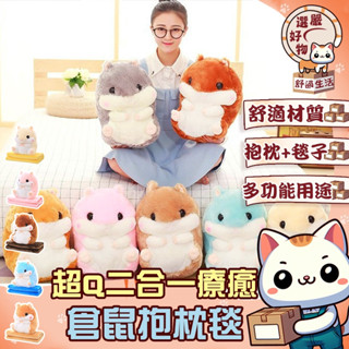 【抱枕毯子二合一😽隔日到貨】暖手 絨毛玩偶 娃娃 空調毯 抱枕毯 生日禮物 交換禮物 倉鼠毯 暖手抱枕 倉鼠娃娃 倉鼠