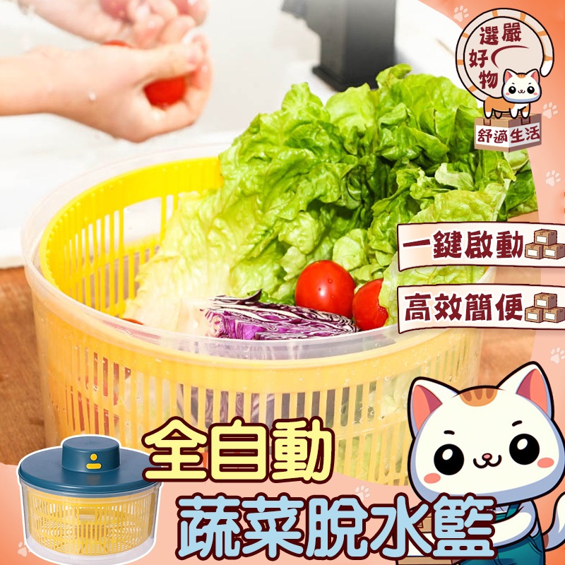【一鍵啟動😽隔日到貨】蔬菜甩乾器 沙拉甩乾器 電動瀝水籃 蔬果瀝水盆 瀝水器 洗菜 電動脫水機 洗菜機 電動脫水器 蔬