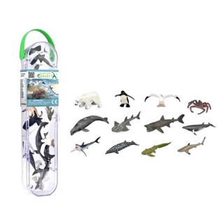 collectA 迷你海洋生物組3 盒裝-12入 ~英國高擬真模型~ 公仔 海洋生物