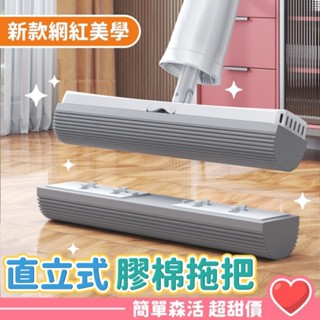 網紅 膠棉拖把💕好用拖把【臺灣出貨】海棉拖把 浴室拖把 吸水拖把 懶人拖把 乾濕兩用拖把 拖地神器 拖把