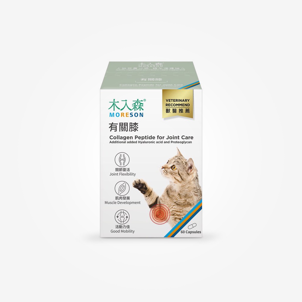 【毛大叔】木入森 貓咪有關膝 30顆/60顆 - 台灣24H出貨 貓咪關節保健 貓咪保健食品 寵物關節保健食品