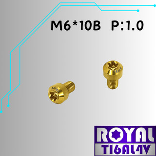 【瘋螺絲】ROYAL 鈦合金螺絲★ M6*10B P:1.0 錐形螺絲★64鈦/正鈦/鈦合金螺絲★出貨附發票 ★土豪金