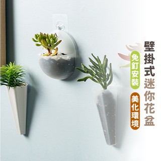 嘉義出貨 {臺灣收納王} 壁掛花盆 迷你花盆 牆壁懸掛式插花瓶 免釘無痕 插花瓶 懸掛花盆 掛壁盆栽