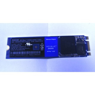 立騰科技電腦 ~ WDS500G1B0C 500GB M.2 SSD 固態硬碟