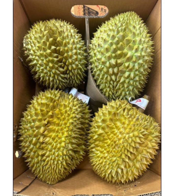 越南金枕頭榴槤一箱3-4顆