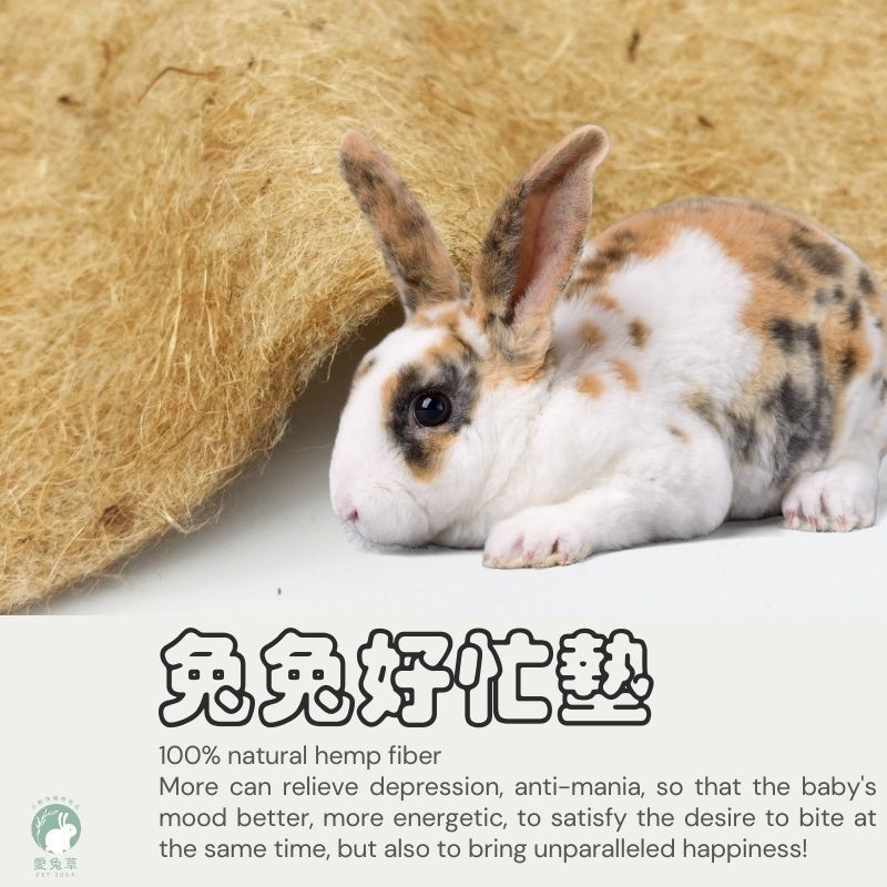 ♕愛兔草♕ 好忙墊 兔子玩具 兔子磨牙 麻質墊 兔子磨牙 兔墊 吸尿墊 兔子 地墊 兔子墊 兔用地墊 兔子睡墊 兔子軟墊