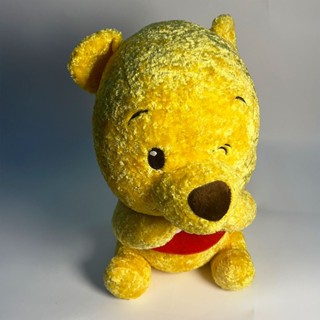 收藏品｜早期 景品 Disney POOH 維尼 娃娃 玩偶 布偶 大型 無吊牌 眨眼 小熊維尼 亮絨毛 大頭