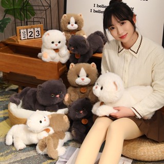 FAT CAT 韓系精品☆可愛慵懶貓絨毛玩具布娃娃趴款貓咪抱枕坐姿黑貓兒童睡覺安撫玩偶白貓交換生日禮物☆批價$250元