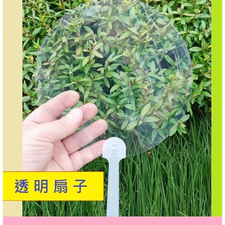 扇子 舉牌 透明空白扇子 18cm 小透扇 空白彩繪DIY 手工扇子