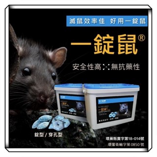 德國巴斯夫 錠型型 穿孔型 老鼠剋星 桶裝3公斤 德國 一錠鼠 老鼠藥 BASF 一點絕 螞蟻絕 速克力 蟻粒絕 蟑螂藥