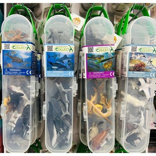 《正版》COLLECTA 動物模型 盒裝迷你迷你海洋動物 史前海洋動物12支裝