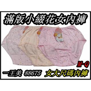 臺灣製 一王美8675/88675 滿版小綴花女內褲 加大內褲 三角褲 女大尺碼內褲 女三角褲小碎花 媽媽褲