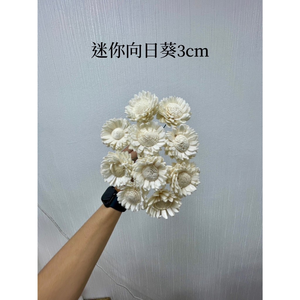 『花藝夢』向日葵索拉 3公分 單支出售 高品質索拉 擴香花 乾燥花 永生花 不凋花 畢業花 畢業花束 向日葵 迷你向日葵