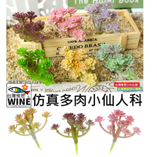 WINE臺灣惟恩 模擬多肉小仙人科 迷你多肉植物 多肉植物 彩色模擬多肉 仿真植物 模擬多肉 多肉 植物
