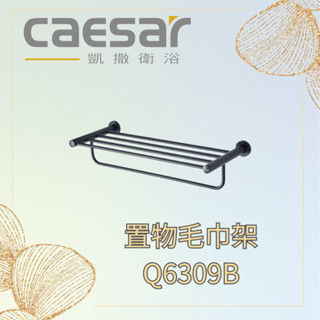 凱撒 CAESAR 黑色 置物毛巾架 Q6309B