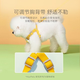 【臺灣現貨】寵物卡通牽引胸背 中小型防暴衝胸背帶 貓咪外出防掙脫胸背 狗牽繩 寵物胸背帶 貓狗專用牽引繩