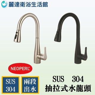 麗達衛浴 水龍頭 抽拉式水龍頭 伸縮水龍頭 兩段出水 紐珀起泡器 304抽拉水龍頭 臺製閥芯 活動式出水龍頭 掛重式