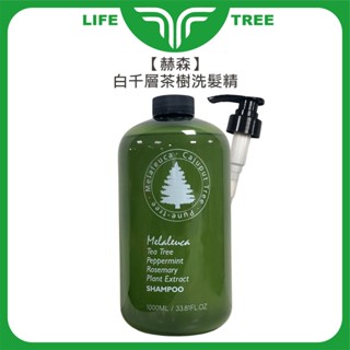 L.T☮️赫森 白千層茶樹洗髮精 1000ml 洗髮精 涼感 精油 溫和 控油 止癢 去屑 洗髮