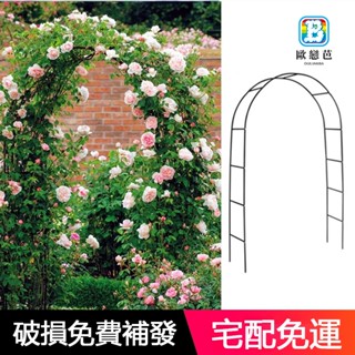 植物支撐架 爬藤架 陽臺 花架 園藝花架 戶外花架 植物攀爬架 拱形拱門花架 攀爬植物支架桿葡萄架戶外庭院花架子 萬家樂