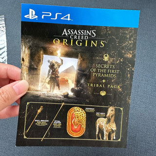 PS4 刺客教條/PS4遊戲/刺客教條序號/PS4/刺客教條裝備