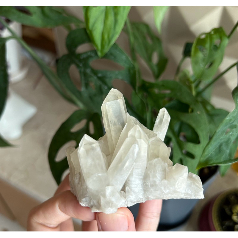 黃水晶晶簇 黃色水晶 天然原礦