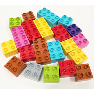 【Duplo 得寶】樂高 LEGO 正品 二手 基本磚 2x3 2x4 2x4薄板 大顆粒