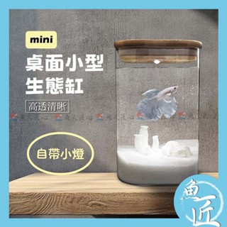 北歐風╴Mini 玻璃桌缸（含燈）🔥桌面型迷你魚缸（生態魚缸 迷你魚缸 辦公室魚缸 鬥魚缸 魚缸 玻璃魚缸 桌缸 魚缸