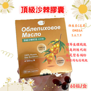 康心📌現貨速出📌711全家免運🔥俄羅斯頂級沙棘籽油膠囊 60顆 Omega7公司貨 防偽認證 欣康喬俄羅斯頂級沙