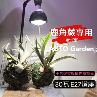 AUTO Garden 全光譜 植物生長燈30W 鹿角蕨 塊根 觀葉植物