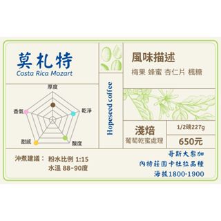 <希望種子咖啡> 哥斯大黎加 卡內特 音樂家系列 莫札特(耳掛包, 淺焙) 自家烘焙 精品咖啡