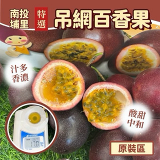 南投埔里吊網百香果10臺斤