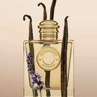 《絕對正品》Burberry goddess 女神淡香精 100ml 全新正貨免運