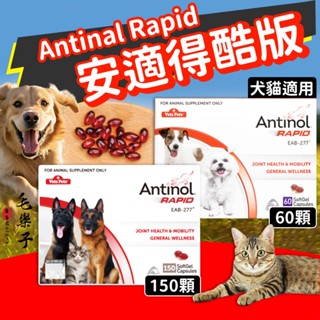 ⚡毛樂子寵物⚡【Antinol安適得】安適得酷版保健品 寵物營養品 關節保健 心血管保健 腸胃保健 皮膚保健