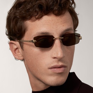 cartier 無框眼鏡- FindPrice 價格網2025年9月精選購物推薦