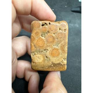 P4666 天然泰國龍宮舍利原礦 老料靈骨舍利 墜子 無事牌 墜飾 已打孔