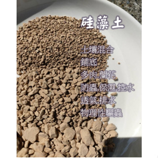 矽藻土 (顆粒矽藻土) 珪藻土🌱 根系旺盛 / 花期延長 / 多肉 / 蘭花 / 觀葉 / 盆栽混土介質 / 控水大師