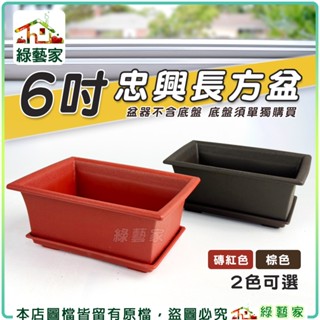 【綠藝家】忠興6吋長方盆 磚紅色、棕色 (可加購水盤) 盆器 多肉盆 種植盆 長形盆 花盆