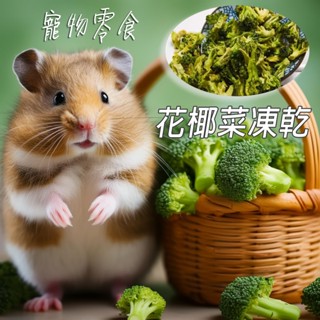 冷凍乾燥花椰菜 凍乾花椰菜 蔬菜凍乾 膳食纖維 小寵零食