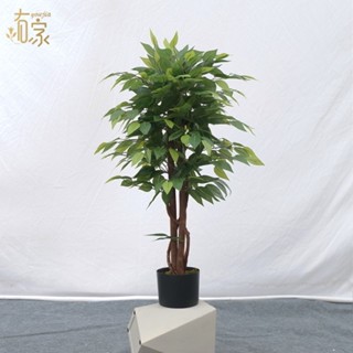 模擬榕樹盆栽室內裝飾綠葉植物落地擺設真樹桿景觀樹有家