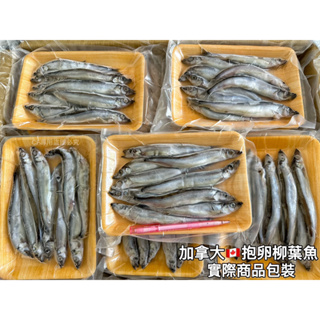 [全富水產]🐟爆卵柳葉魚🐟 200g/盒/水產/新鮮/批發/零售