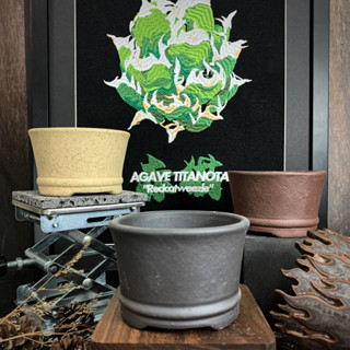 (新上架) 【快速出貨】紫砂 多色 小圓口 高低款 中式 手工 陶盆 植木 缽 花盆 塊根盆 嚴龍盆 花器 多肉盆