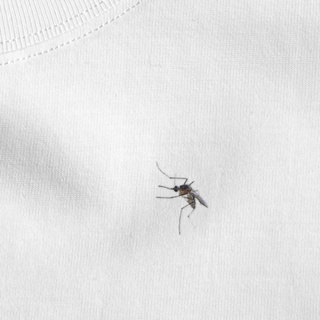 S~XL 這是一隻假蚊子 不信你打我試試 純棉 短T 情侶T【Y0969】MIT 情侶裝 快速出貨 短袖T恤 台灣製造