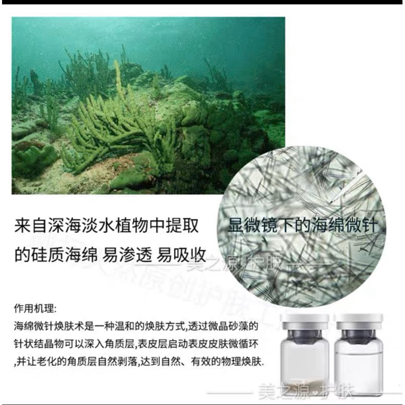 白藻針 海綿微針 SGS認證 粉刺 毛孔粗大 痘痘 亮白 斑點