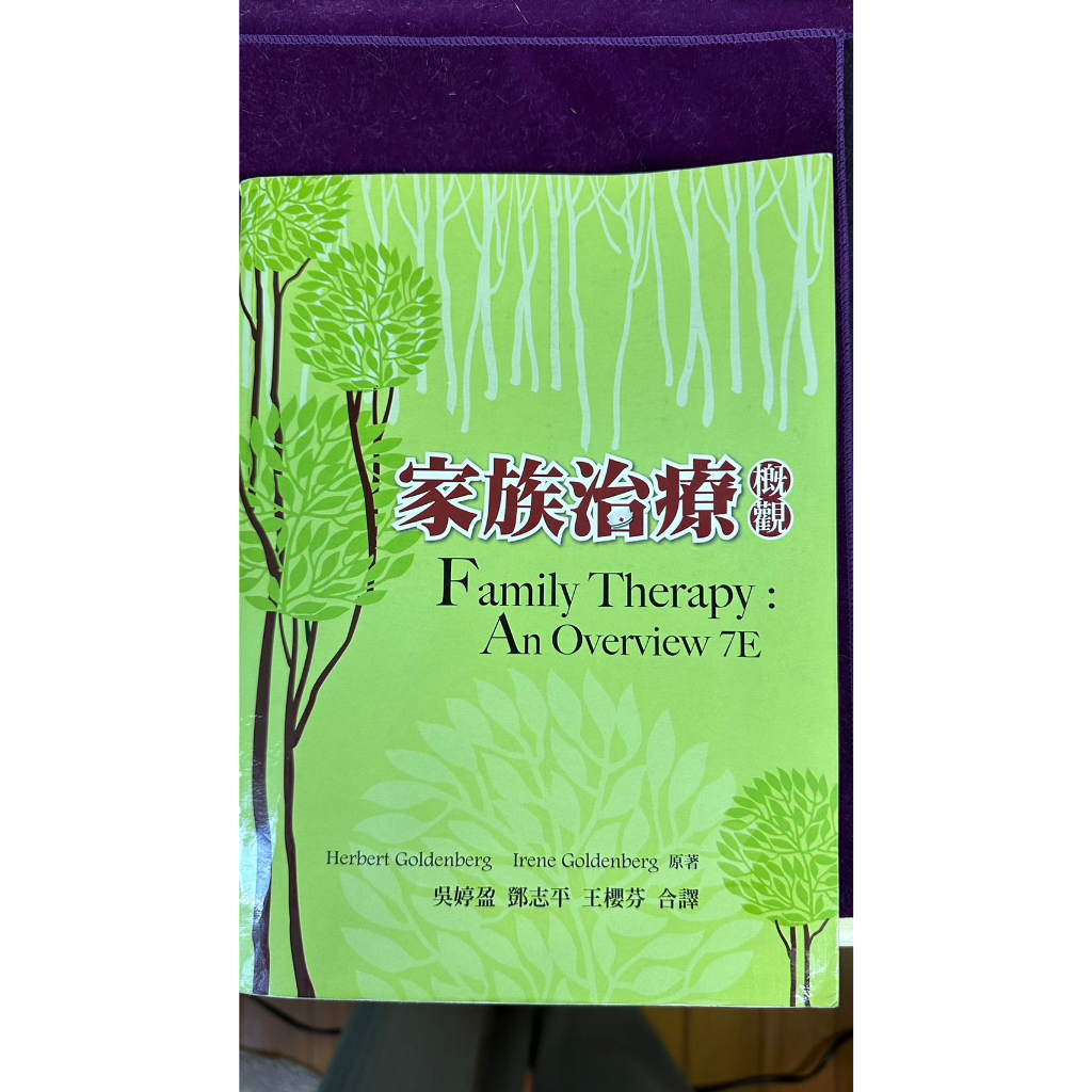 家族治療概觀  吳婷盈、鄧志平、王櫻芬 雙葉書廊  2013年初版  二手書