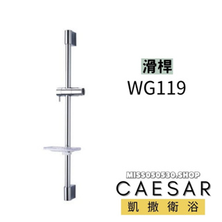 Caesar 凱撒衛浴 WG119 滑桿 可調整 SPA淋浴用 升降滑桿組 蓮蓬頭滑桿 不鏽鋼 滑桿 把手滑桿 把手掛鉤