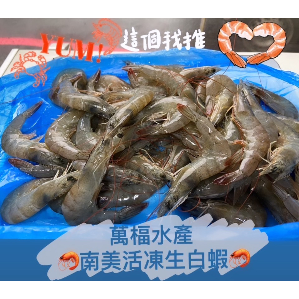 【萬楅水產】南美活凍生白蝦 宏都拉斯 850g 31/40 41/50 51/60 61/70 71/80 81/100