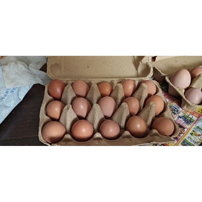 （田庄小農）葡萄園下的土雞蛋 / 吃葡萄長大的雞蛋/ 人道飼養 /放牧養殖