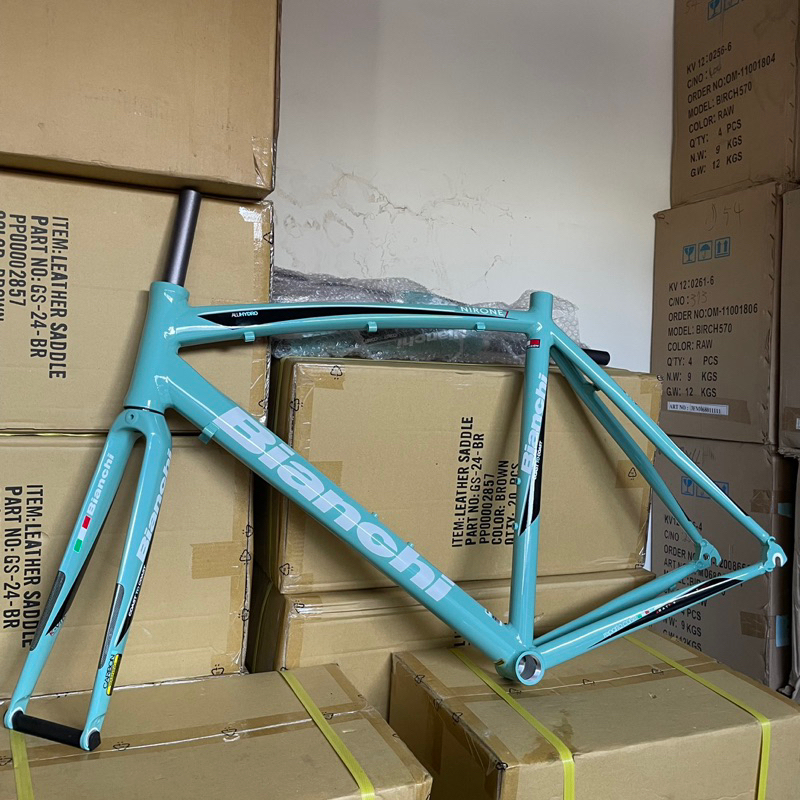 庫存 bianchi nirone 7 公路車 as54 身高174-183cm 鋁合金 車架 義大利 老鷹 舊版 外線