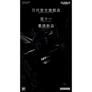 預購24.5月 日本萬代 最後2盒 中國限定 雙十一限定版 電鍍黑 MGEX 攻擊自由鋼彈 強襲自由鋼彈 電鍍塗層